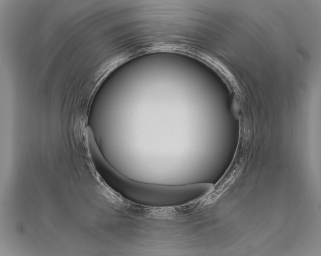 X0000110690809200906121054
