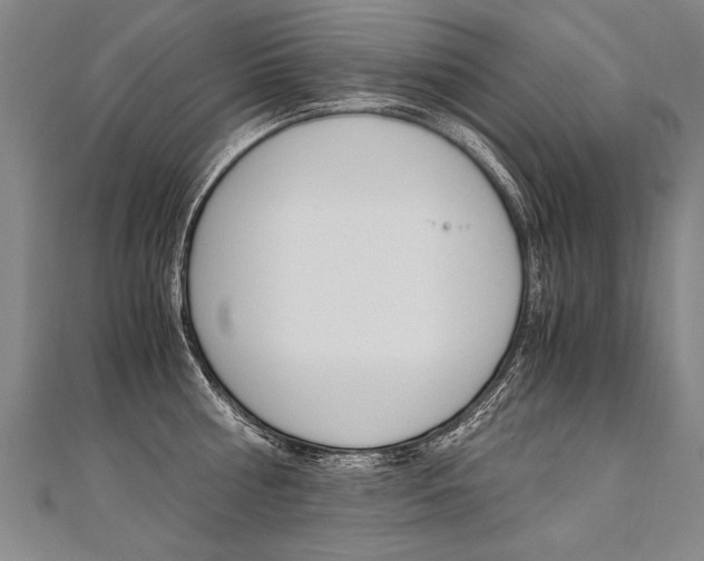 X0000110690810200906121054