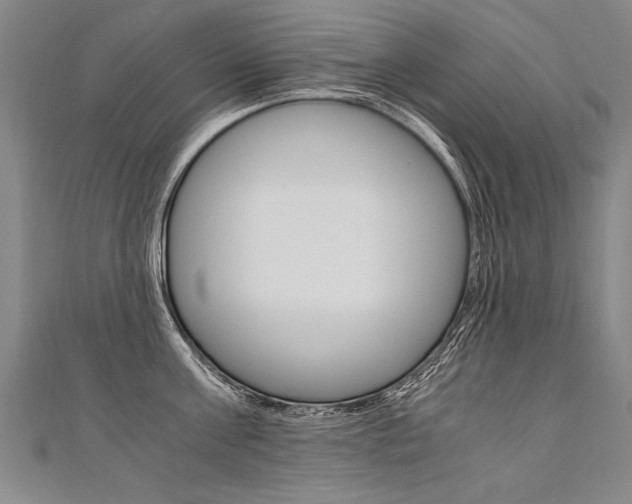 X0000110690811200906121054