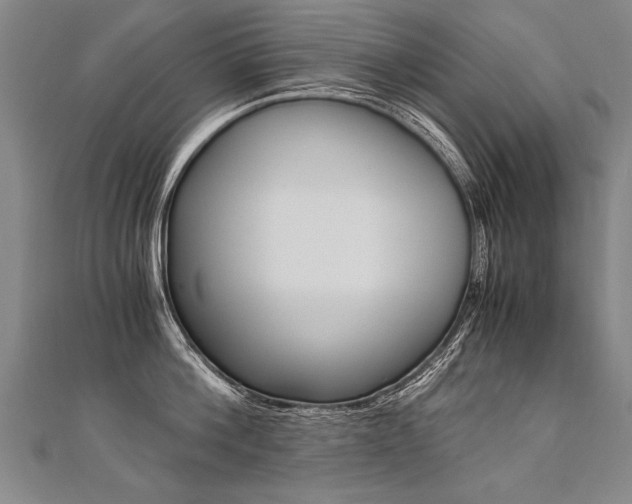 X0000110690812200906121054