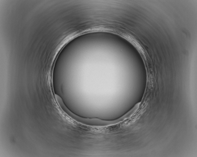 X0000110690813200906121054