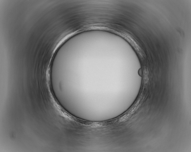 X0000110690814200906121054
