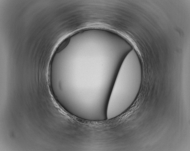 X0000110690815200906121054