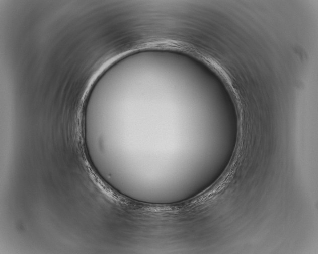 X0000110690816200906121054