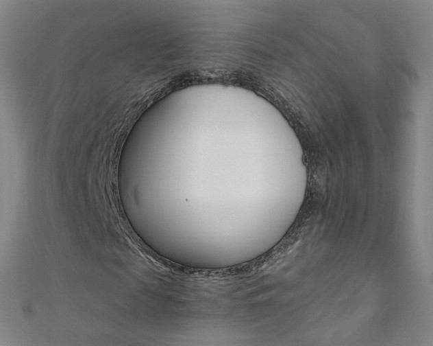X0000110690817200906121053