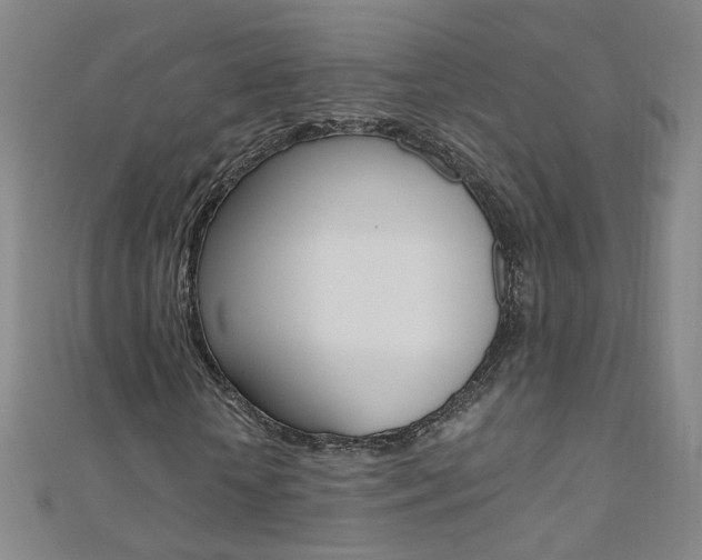 X0000110690818200906121053