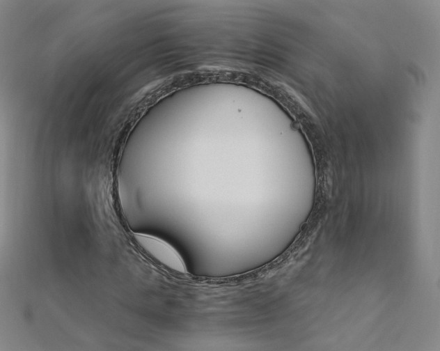 X0000110690821200906121053