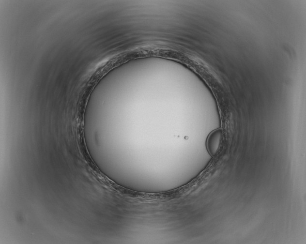 X0000110690822200906121053