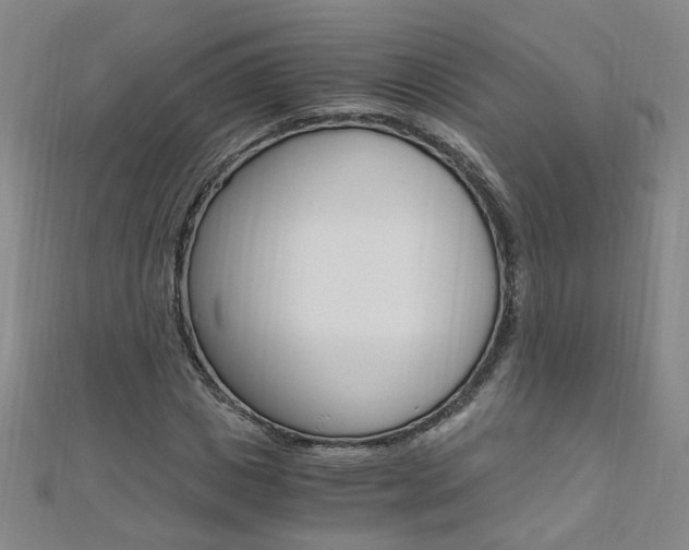 X0000110690825200906121053