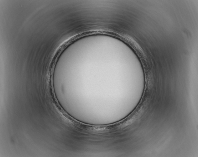 X0000110690831200906121054