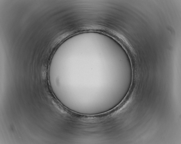 X0000110690833200906121054