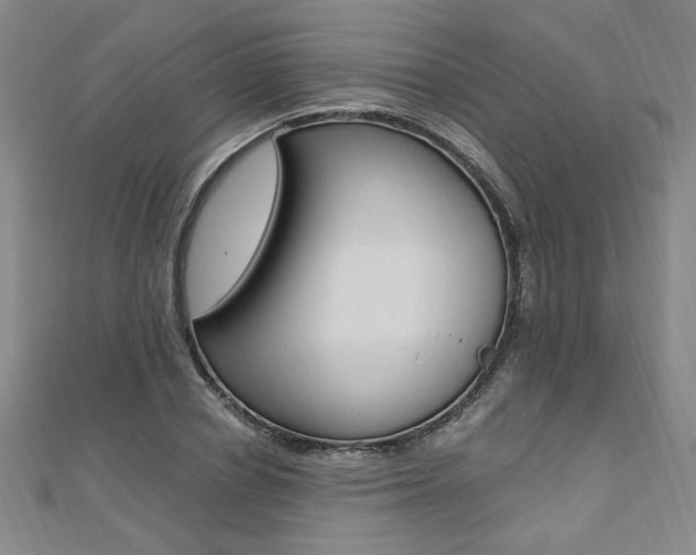 X0000110690834200906121054