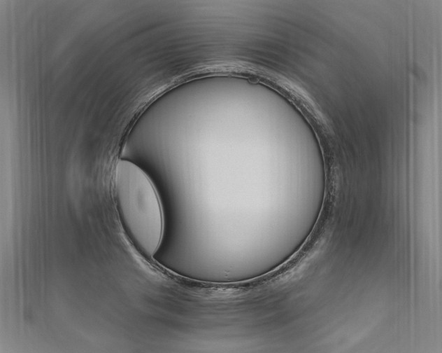 X0000110690841200906121054