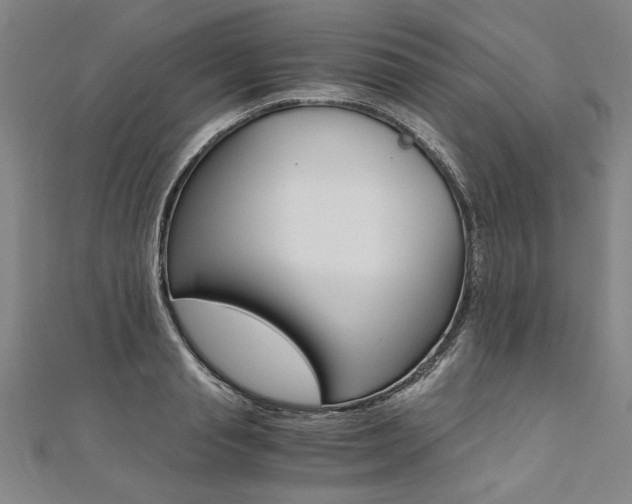 X0000110690845200906121054