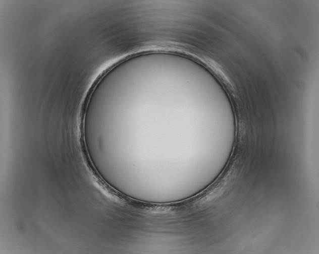 X0000110690846200906121054