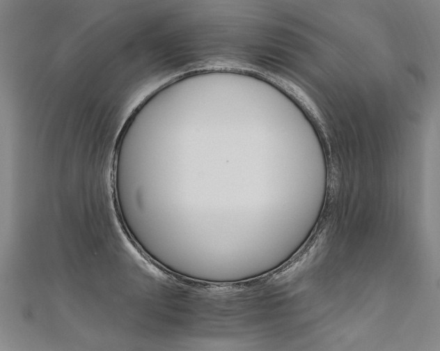 X0000110690847200906121054
