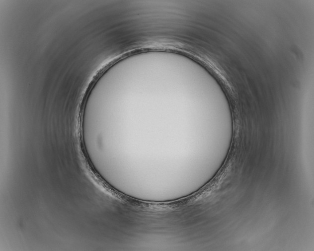 X0000110690848200906121054