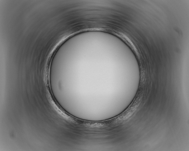 X0000110690851200906121054