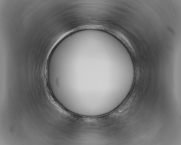 X0000110690852200906121054