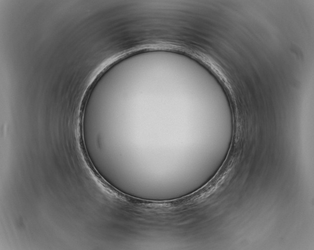X0000110690853200906121054