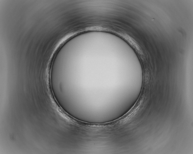 X0000110690854200906121054