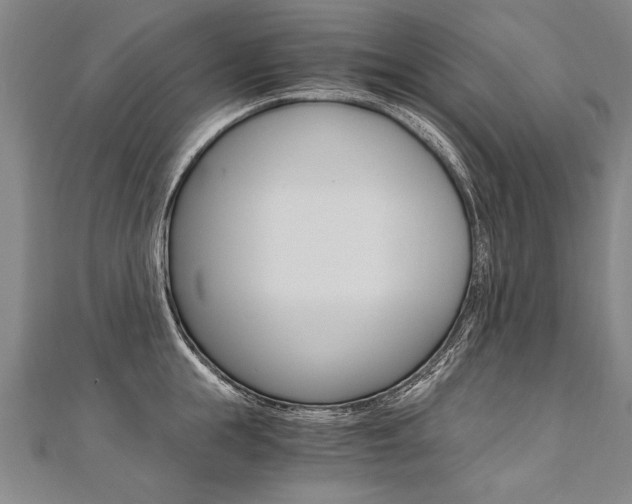 X0000110690855200906121054