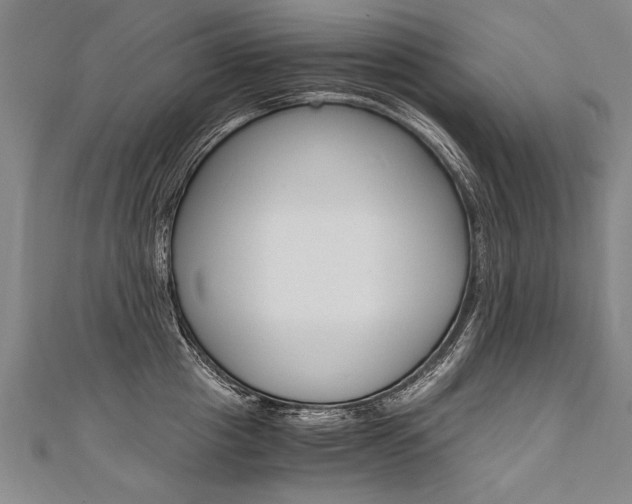 X0000110690857200906121054