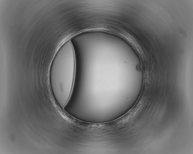 X0000110690858200906121054
