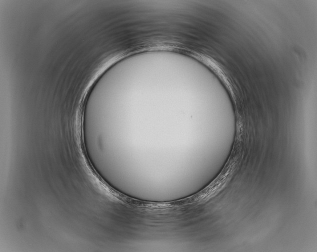 X0000110690859200906121054