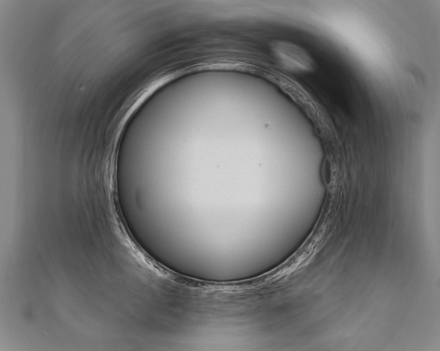 X0000110690860200906121054