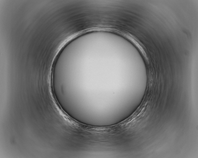 X0000110690861200906121054