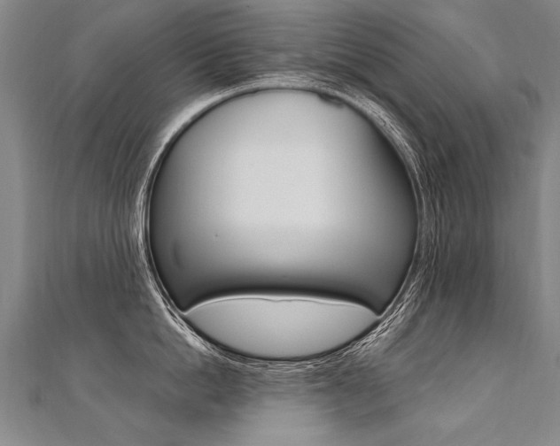 X0000110690862200906121054