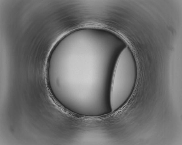 X0000110690864200906121054