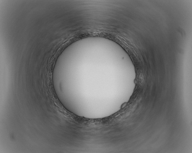 X0000110690865200906121053