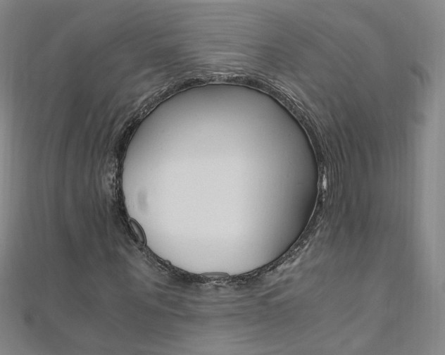 X0000110690867200906121053