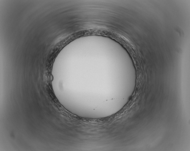 X0000110690869200906121053