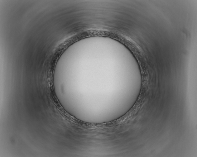 X0000110690870200906121053