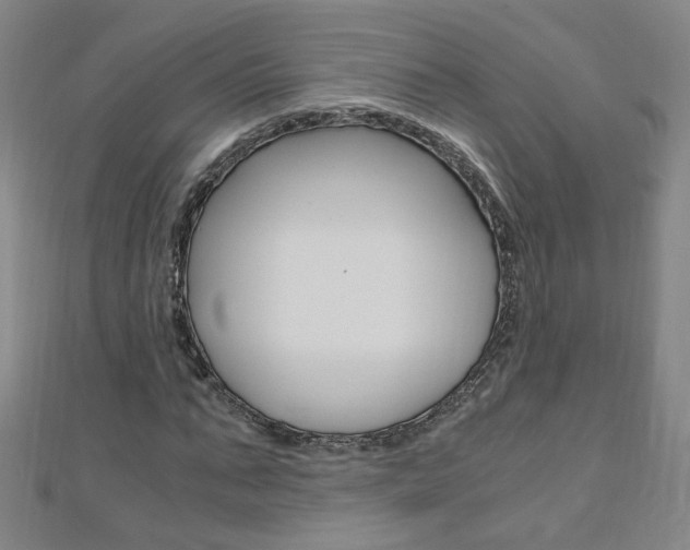 X0000110690871200906121053