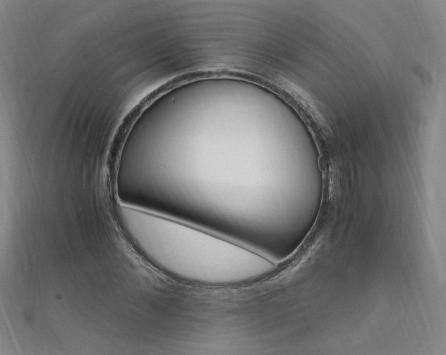 X0000110690876200906121053