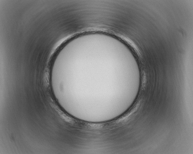 X0000110690878200906121053