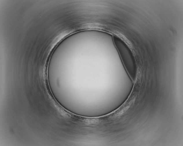 X0000110690893200906121053