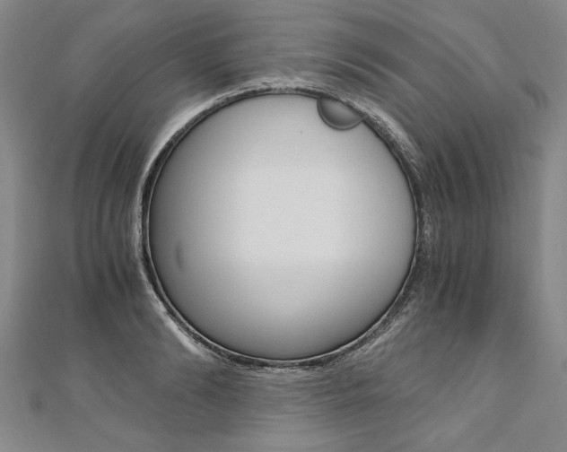 X0000110690894200906121053