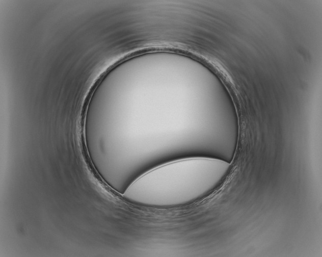 X0000110690895200906121053