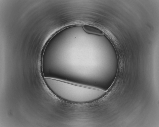 X0000110690896200906121053