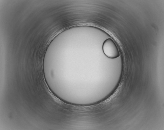 X0000110690897200906121053