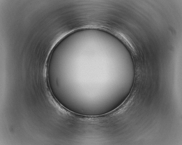 X0000110690900200906121053