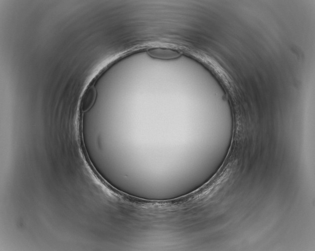 X0000110690902200906121053