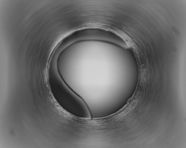 X0000110690904200906121053