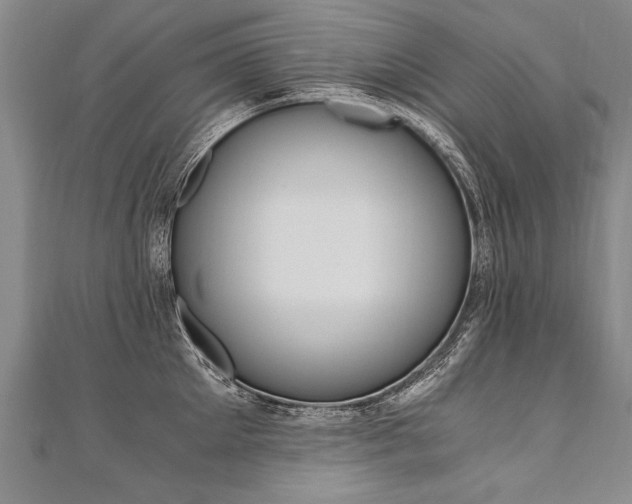 X0000110690905200906121053