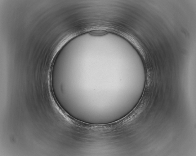 X0000110690906200906121053